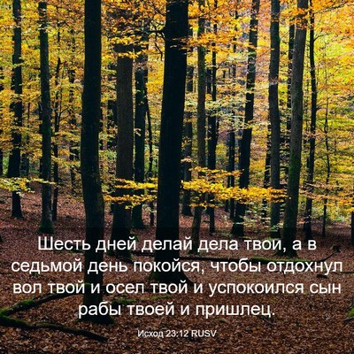 Picture 03 - Исход 23:12 RUSV - Шесть дней делай дела твои, - Bible Verse Picture