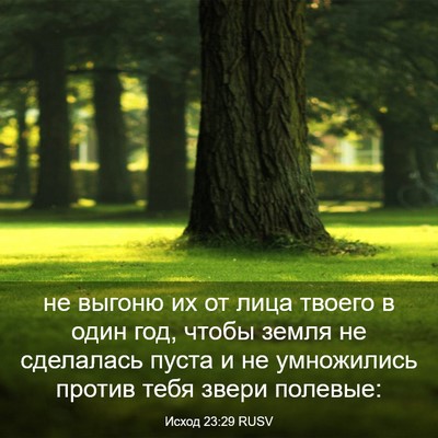 Picture 03 - Исход 23:29 RUSV - не выгоню их от лица твоего - Bible Verse Picture