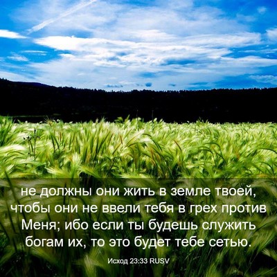 Picture 03 - Исход 23:33 RUSV - не должны они жить в земле - Bible Verse Picture