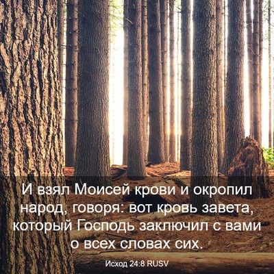 Picture 03 - Исход 24:8 RUSV - И взял Моисей крови и - Bible Verse Picture