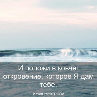 Picture 03 - Исход 25:16 RUSV - И положи в ковчег - Bible Verse Picture