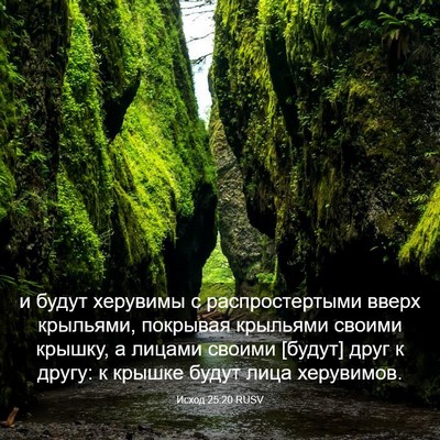 Picture 03 - Исход 25:20 RUSV - и будут херувимы с - Bible Verse Picture