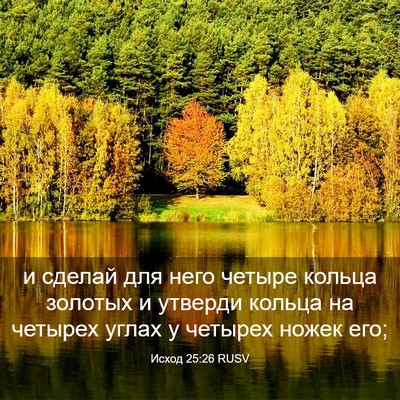 Picture 03 - Исход 25:26 RUSV - и сделай для него четыре - Bible Verse Picture