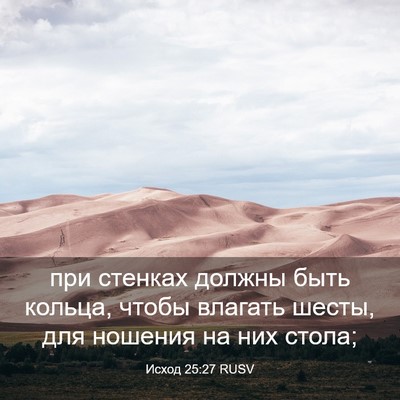 Picture 03 - Исход 25:27 RUSV - при стенках должны быть - Bible Verse Picture