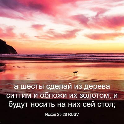 Picture 03 - Исход 25:28 RUSV - а шесты сделай из дерева - Bible Verse Picture