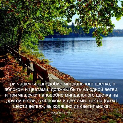 Picture 03 - Исход 25:33 RUSV - три чашечки наподобие - Bible Verse Picture