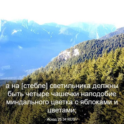 Picture 03 - Исход 25:34 RUSV - а на [стебле] светильника - Bible Verse Picture
