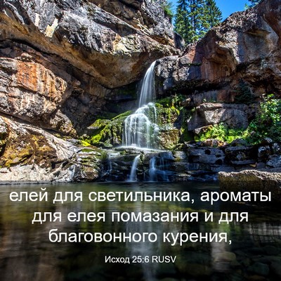 Picture 03 - Исход 25:6 RUSV - елей для светильника, - Bible Verse Picture
