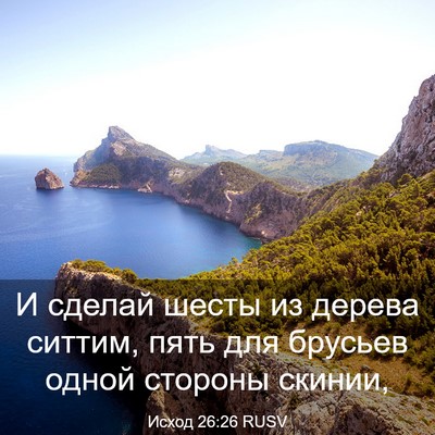 Picture 03 - Исход 26:26 RUSV - И сделай шесты из дерева - Bible Verse Picture