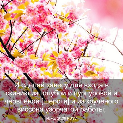 Picture 03 - Исход 26:36 RUSV - И сделай завесу для входа в - Bible Verse Picture