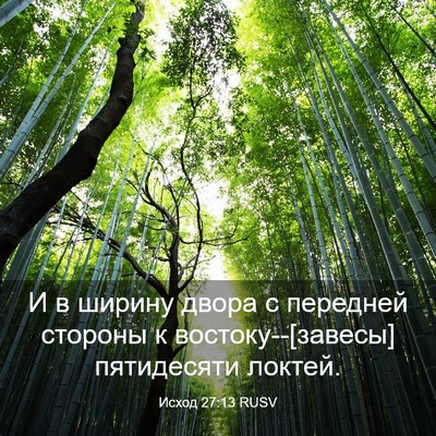 Picture 03 - Исход 27:13 RUSV - И в ширину двора с передней - Bible Verse Picture