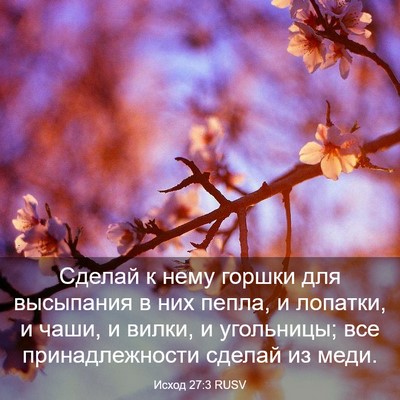 Picture 03 - Исход 27:3 RUSV - Сделай к нему горшки для - Bible Verse Picture