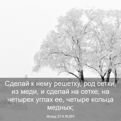 Picture 03 - Исход 27:4 RUSV - Сделай к нему решетку, род - Bible Verse Picture