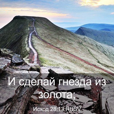 Picture 03 - Исход 28:13 RUSV - И сделай гнезда из - Bible Verse Picture