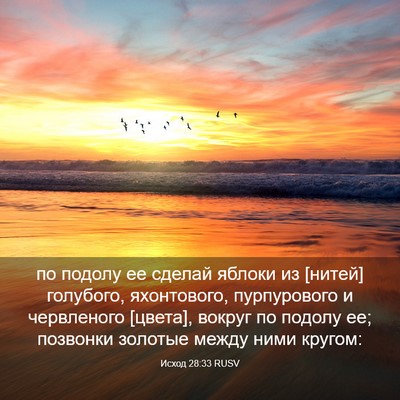 Picture 03 - Исход 28:33 RUSV - по подолу ее сделай яблоки - Bible Verse Picture