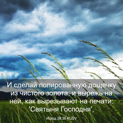 Picture 03 - Исход 28:36 RUSV - И сделай полированную - Bible Verse Picture
