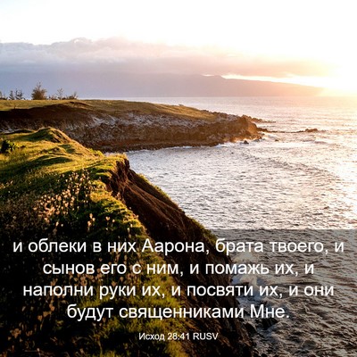 Picture 03 - Исход 28:41 RUSV - и облеки в них Аарона, - Bible Verse Picture