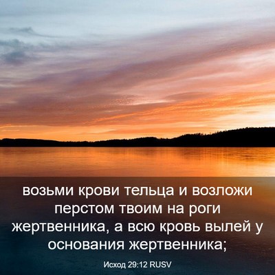 Picture 03 - Исход 29:12 RUSV - возьми крови тельца и - Bible Verse Picture