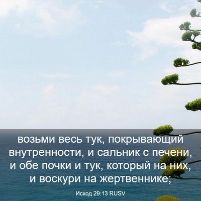 Picture 03 - Исход 29:13 RUSV - возьми весь тук, - Bible Verse Picture