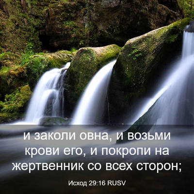 Picture 03 - Исход 29:16 RUSV - и заколи овна, и возьми - Bible Verse Picture
