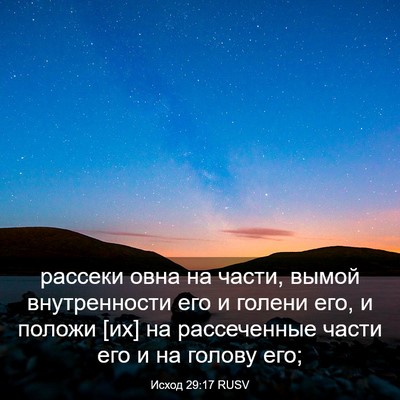 Picture 03 - Исход 29:17 RUSV - рассеки овна на части, - Bible Verse Picture