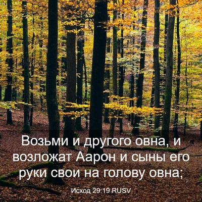 Picture 03 - Исход 29:19 RUSV - Возьми и другого овна, и - Bible Verse Picture
