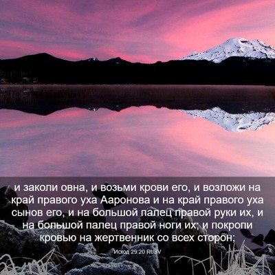 Picture 03 - Исход 29:20 RUSV - и заколи овна, и возьми - Bible Verse Picture