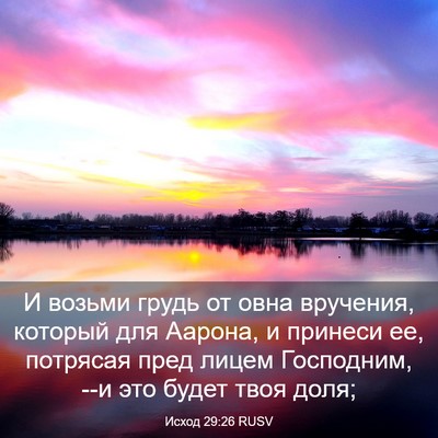 Picture 03 - Исход 29:26 RUSV - И возьми грудь от овна - Bible Verse Picture
