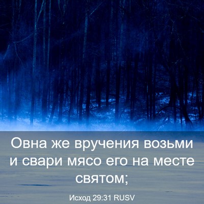 Picture 03 - Исход 29:31 RUSV - Овна же вручения возьми и - Bible Verse Picture