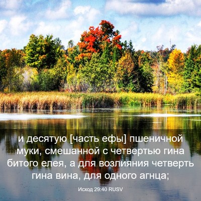 Picture 03 - Исход 29:40 RUSV - и десятую [часть ефы] - Bible Verse Picture