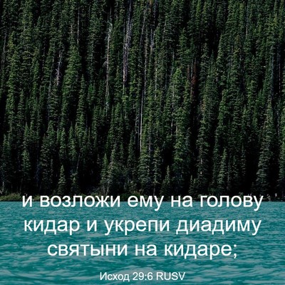 Picture 03 - Исход 29:6 RUSV - и возложи ему на голову - Bible Verse Picture