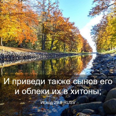 Picture 03 - Исход 29:8 RUSV - И приведи также сынов его и - Bible Verse Picture