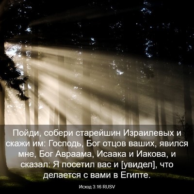 Picture 03 - Исход 3:16 RUSV - Пойди, собери старейшин - Bible Verse Picture