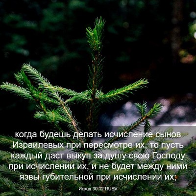 Picture 03 - Исход 30:12 RUSV - когда будешь делать - Bible Verse Picture