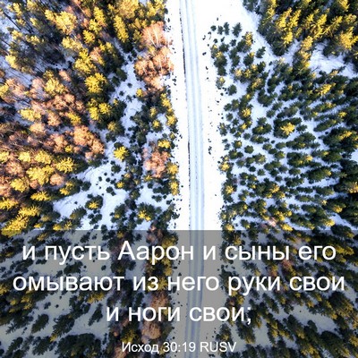 Picture 03 - Исход 30:19 RUSV - и пусть Аарон и сыны его - Bible Verse Picture