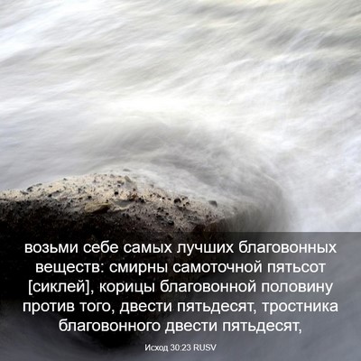 Picture 03 - Исход 30:23 RUSV - возьми себе самых лучших - Bible Verse Picture