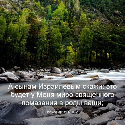 Picture 03 - Исход 30:31 RUSV - А сынам Израилевым скажи: - Bible Verse Picture
