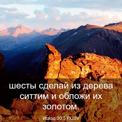 Picture 03 - Исход 30:5 RUSV - шесты сделай из дерева - Bible Verse Picture