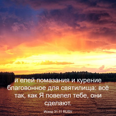 Picture 03 - Исход 31:11 RUSV - и елей помазания и курение - Bible Verse Picture