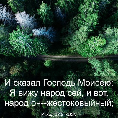 Picture 03 - Исход 32:9 RUSV - И сказал Господь Моисею: Я - Bible Verse Picture