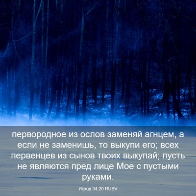 Picture 03 - Исход 34:20 RUSV - первородное из ослов - Bible Verse Picture