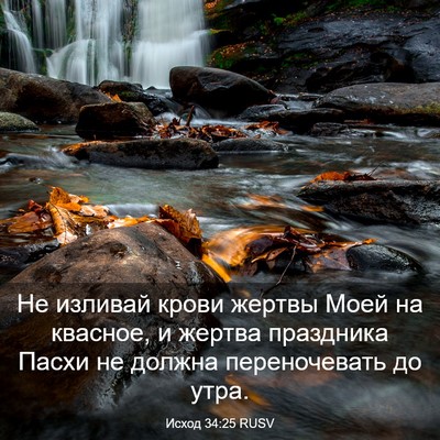 Picture 03 - Исход 34:25 RUSV - Не изливай крови жертвы - Bible Verse Picture