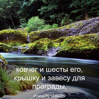 Picture 03 - Исход 35:12 RUSV - ковчег и шесты его, крышку - Bible Verse Picture