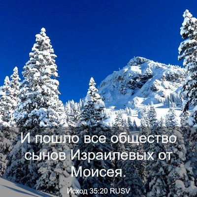 Picture 03 - Исход 35:20 RUSV - И пошло все общество сынов - Bible Verse Picture
