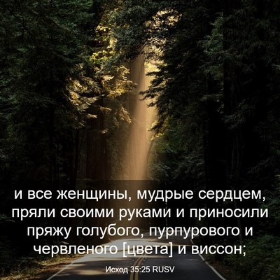 Picture 03 - Исход 35:25 RUSV - и все женщины, мудрые - Bible Verse Picture