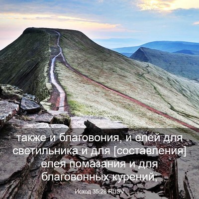 Picture 03 - Исход 35:28 RUSV - также и благовония, и елей - Bible Verse Picture