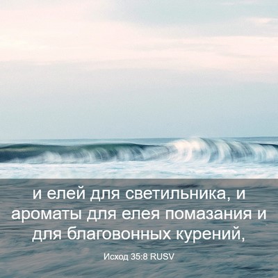 Picture 03 - Исход 35:8 RUSV - и елей для светильника, и - Bible Verse Picture