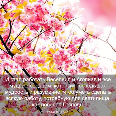 Picture 03 - Исход 36:1 RUSV - И стал работать Веселеил и - Bible Verse Picture