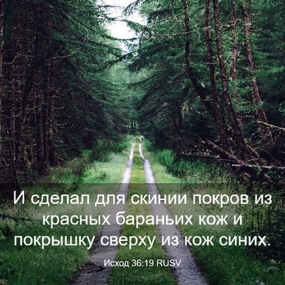 Picture 03 - Исход 36:19 RUSV - И сделал для скинии покров - Bible Verse Picture