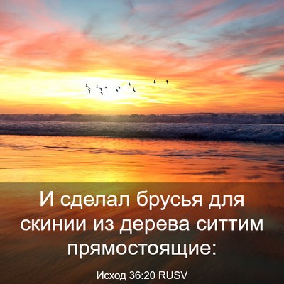 Picture 03 - Исход 36:20 RUSV - И сделал брусья для скинии - Bible Verse Picture